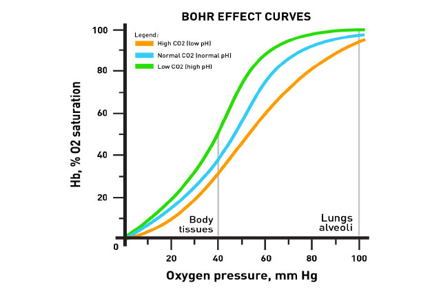 Graph showing The Bohr Effect