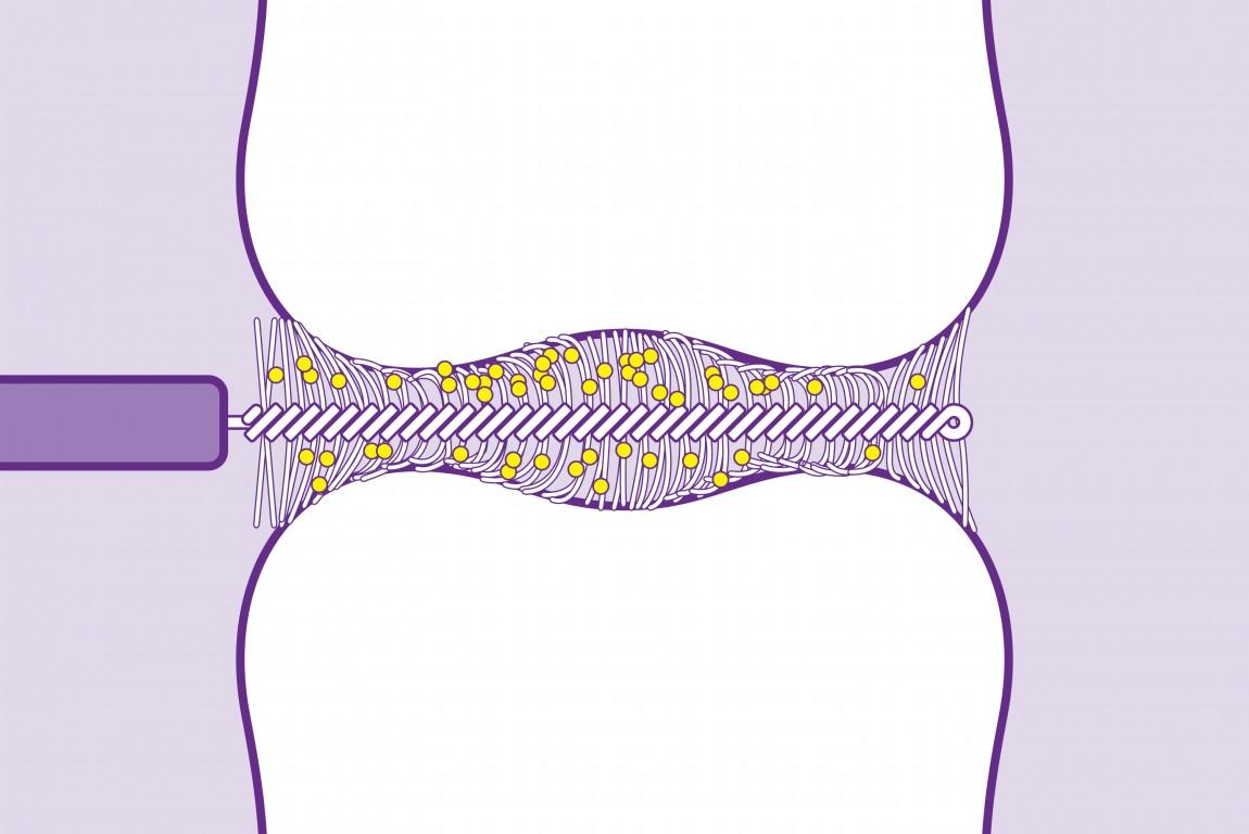 Care &amp; Share – Bộ sản phẩm chăm sóc răng miệng hằng ngày tốt nhất