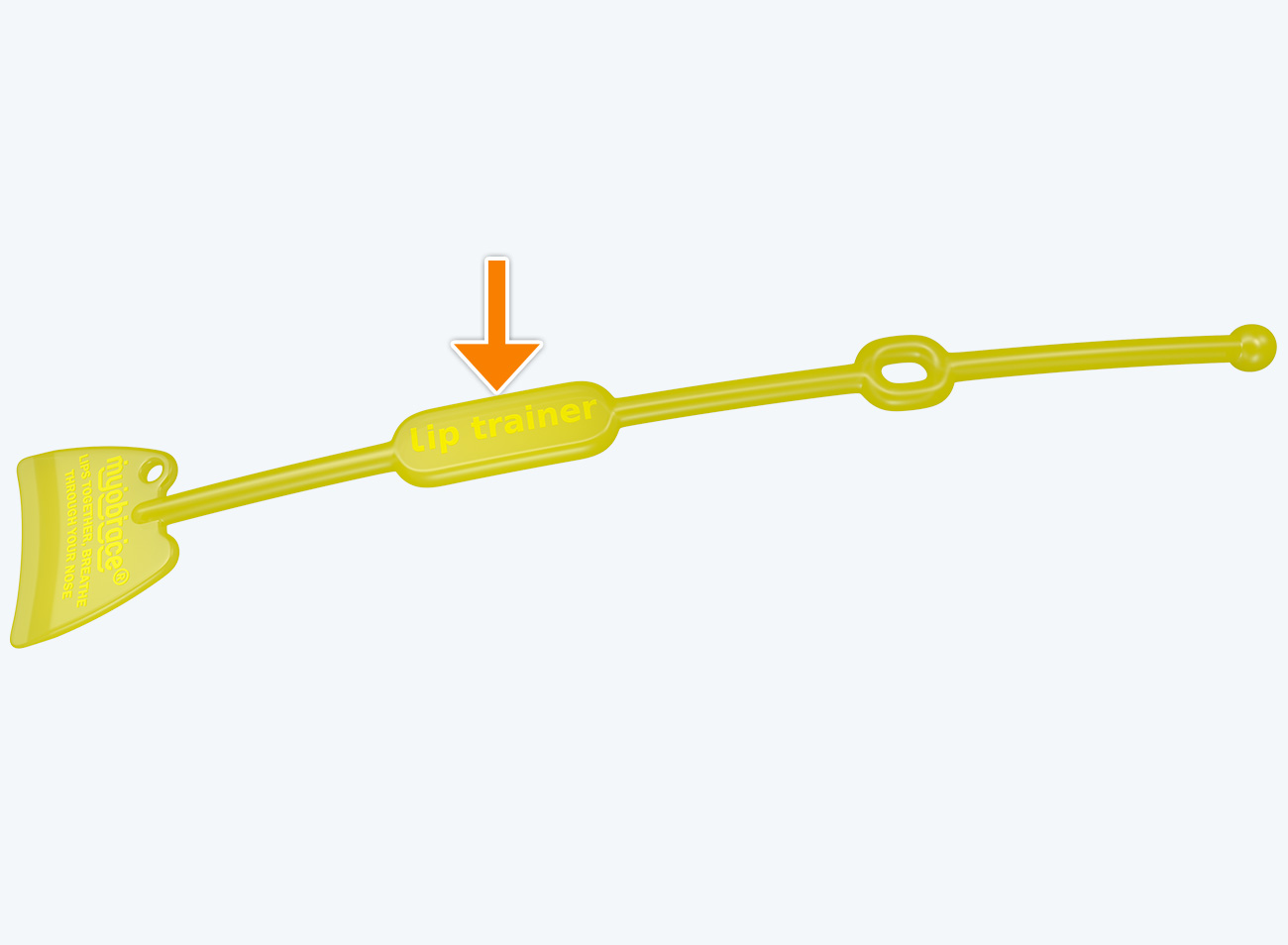 Bộ Lip Trainer&trade; – LT v&agrave; Lip Seal Trainer – LST