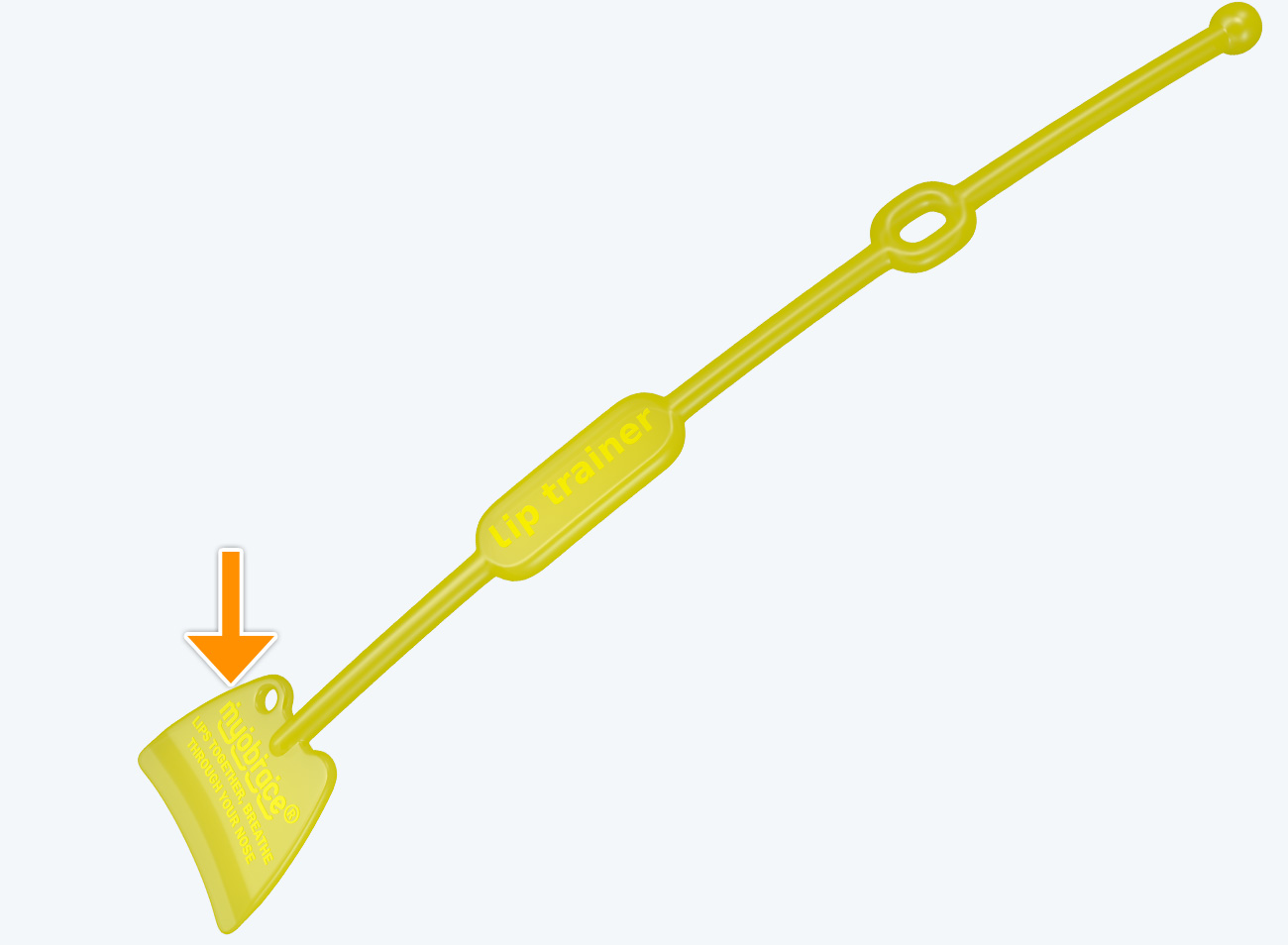 Bộ Lip Trainer&trade; – LT v&agrave; Lip Seal Trainer – LST