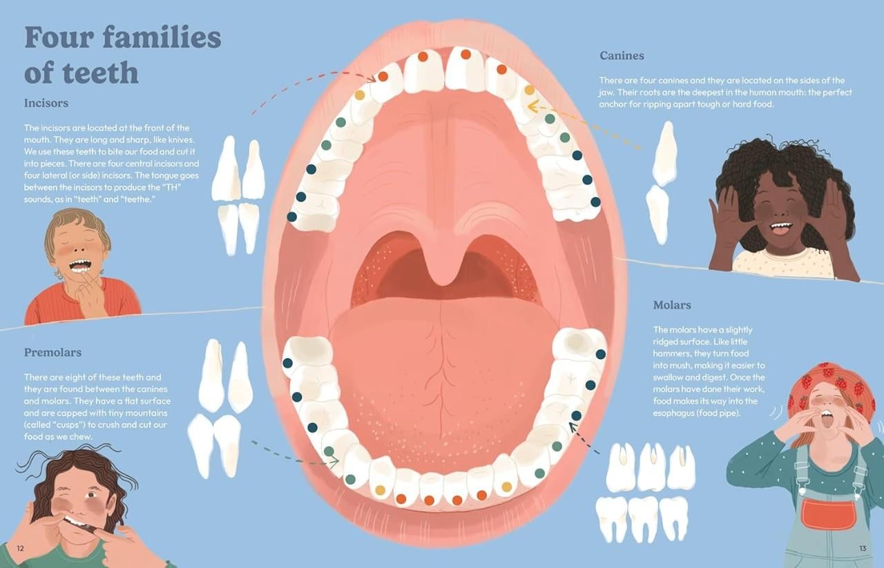 [LIMITED EDTION] Bàn chải Curaprox Kids 32 Teeth Edition mang màu sắc và niềm vui vào mỗi lần đánh răng của bé