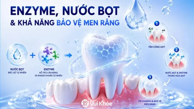 ENZYME – “NGƯỜI BẢO VỆ TỰ NHIÊN” CỦA KHOANG MIỆNG